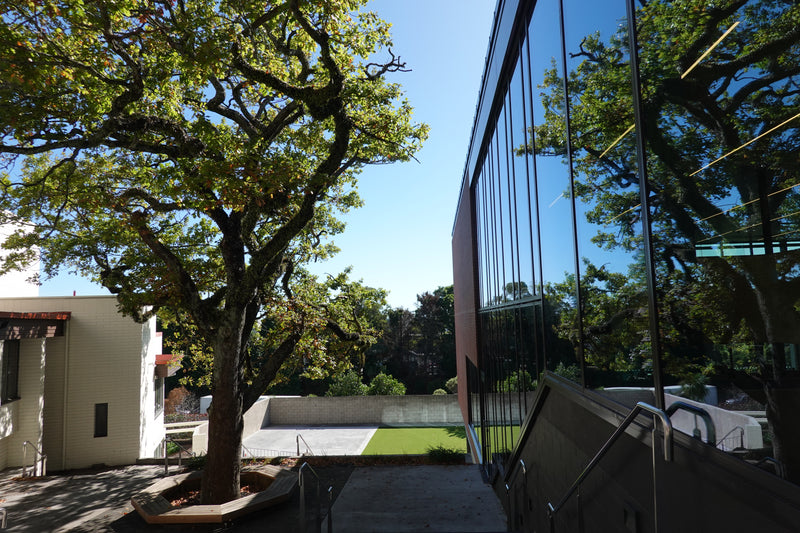 Auckland Grammar School Te Ara Library | commercial projects | Aluminium Doors and Windows | Door + Window Systems Auckland